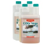 CANNA COGr Vega