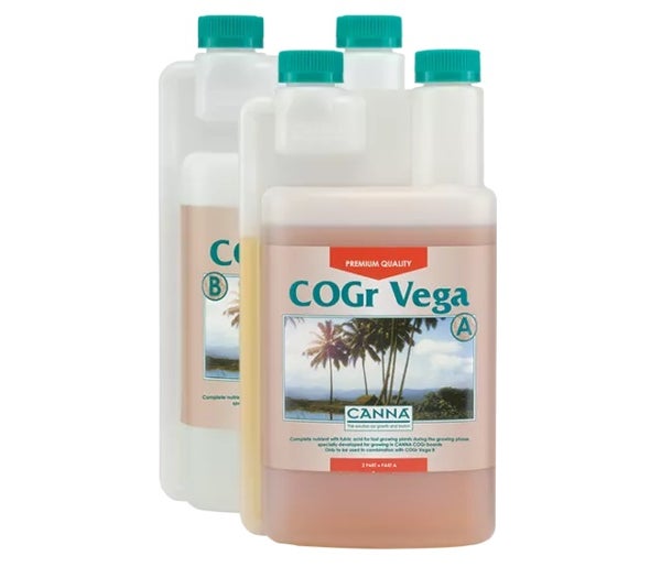 CANNA COGr Vega