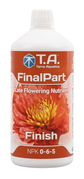 GHE Ripen / T.A. Final Part