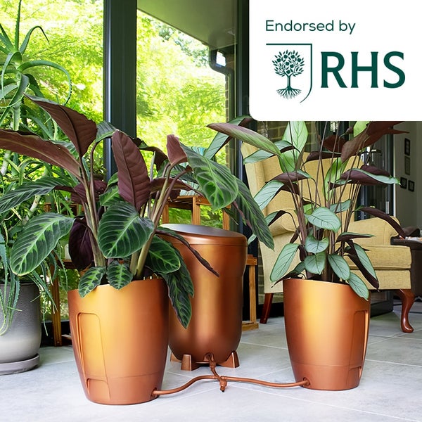Khloris Watering System - Kupari